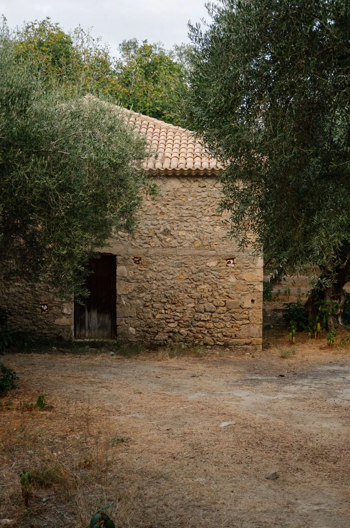 Παλιό πέτρινο σπίτι ανάμεσα σε ελιές, σε ξεθωριασμένη φωτογραφία
